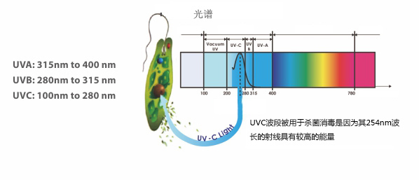UVC杀菌效能